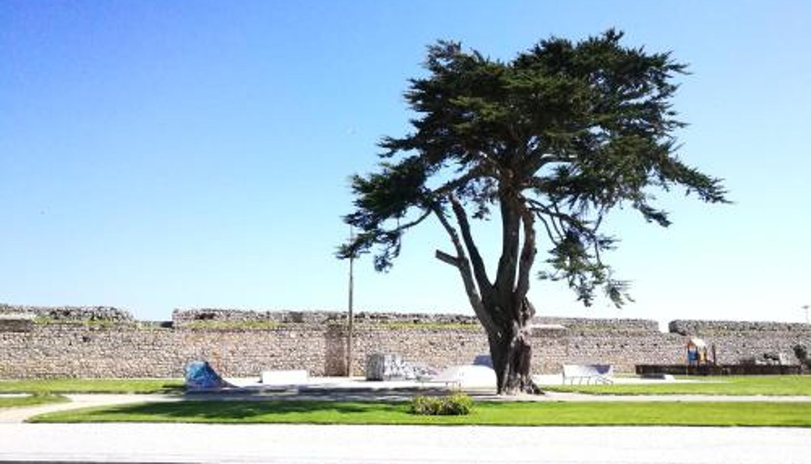 Habitación estándar - Peniche's Blue & White
