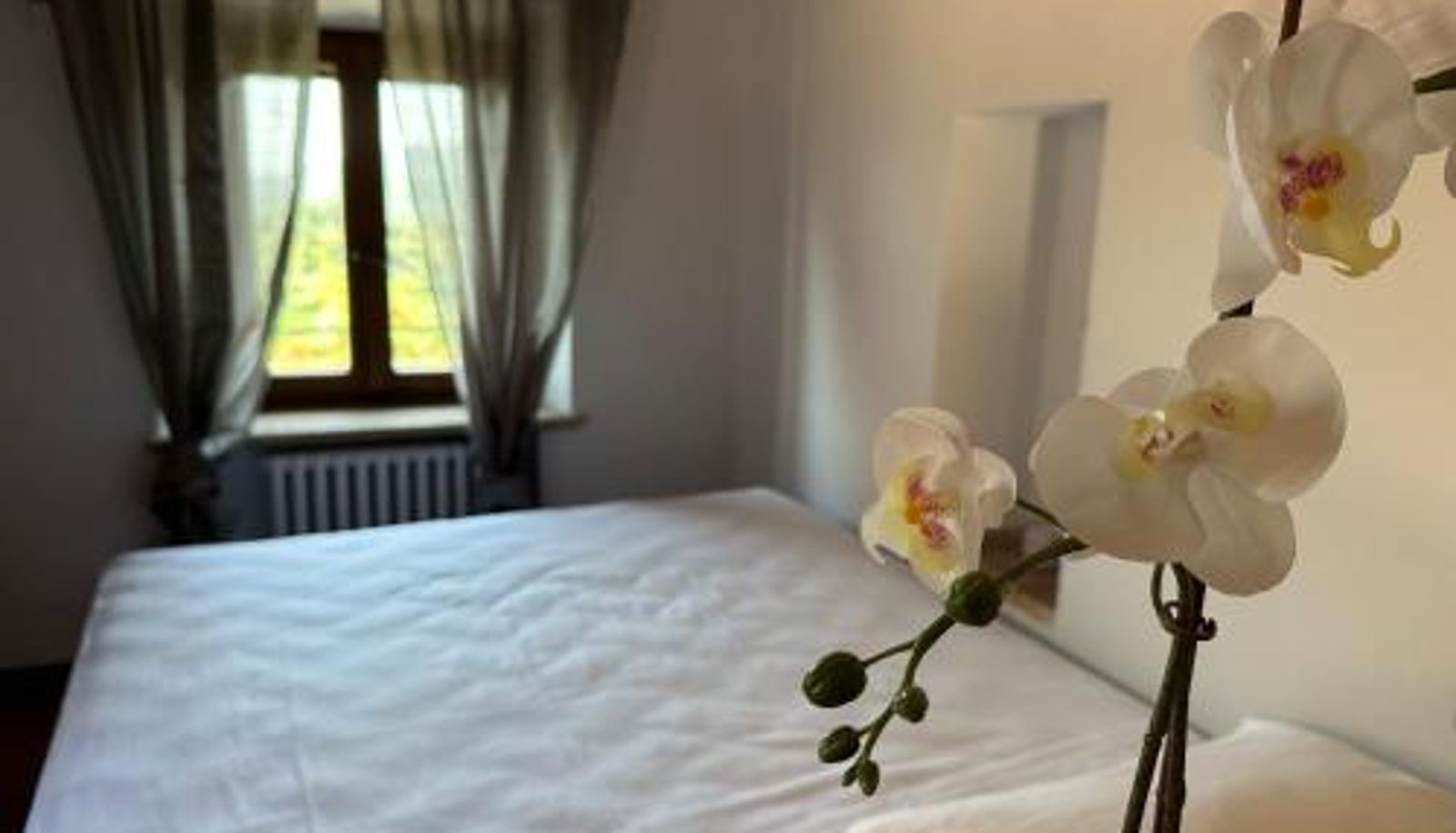Appartement - Tuscan Palace - Petit Apartment