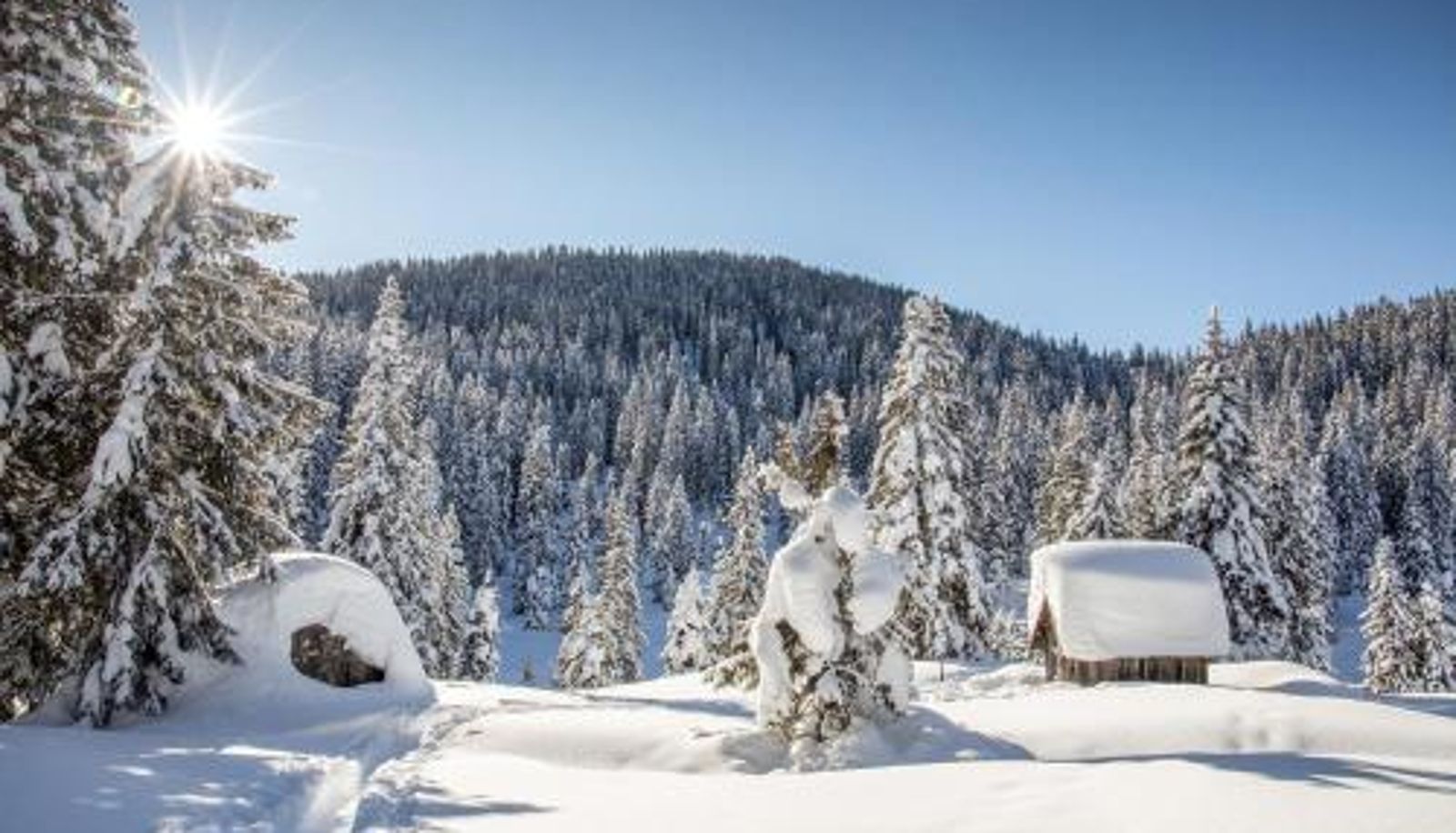 Wellness- und Fitnessbereich - Pöder - daheim in den Bergen