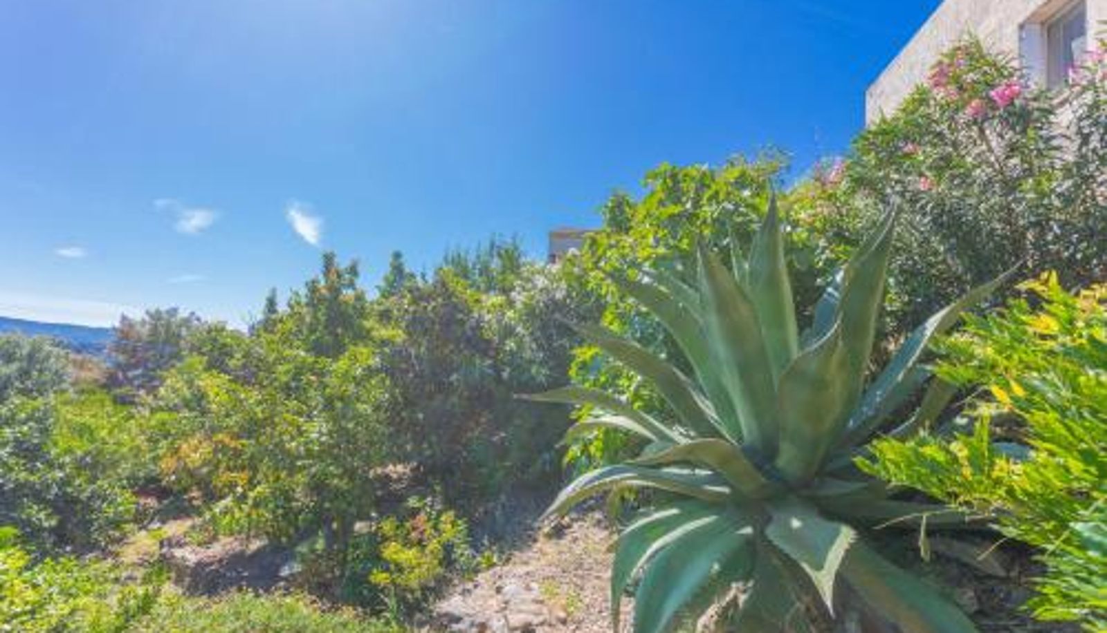Standaardkamer - Vue mer dans les collines Cavalaire
