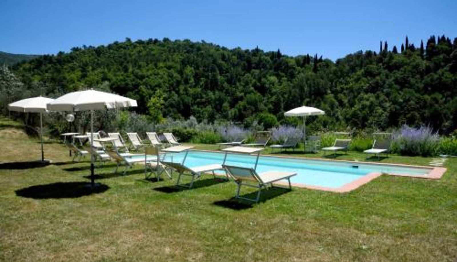 Apartament - Il Bellini - farmholiday apartment Orciaia