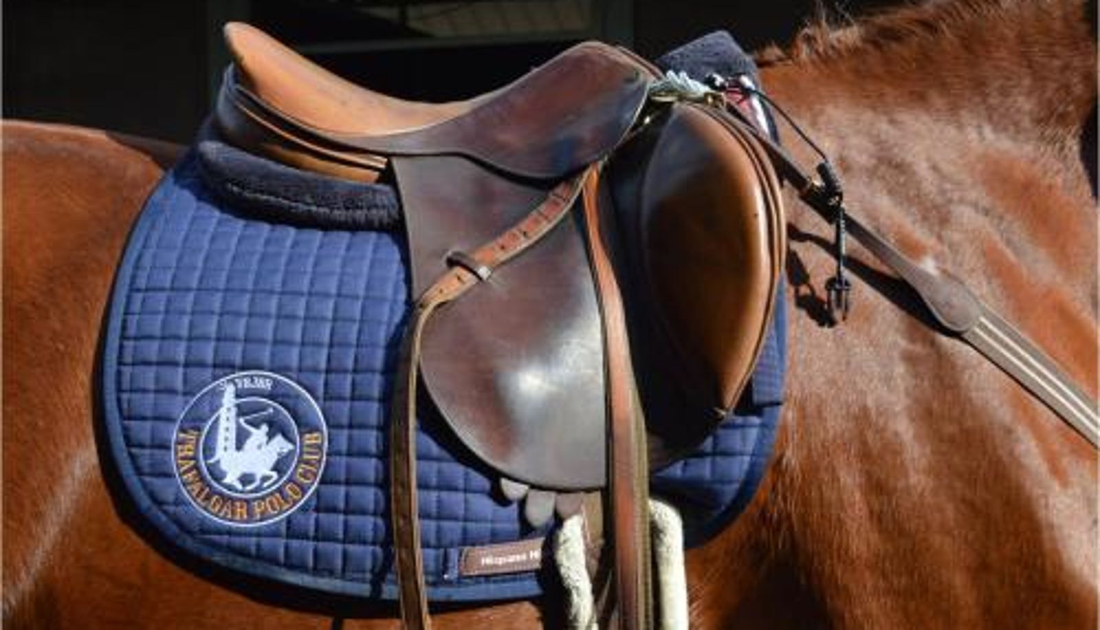 Wellness- und Fitnessbereich - Trafalgar Polo Club