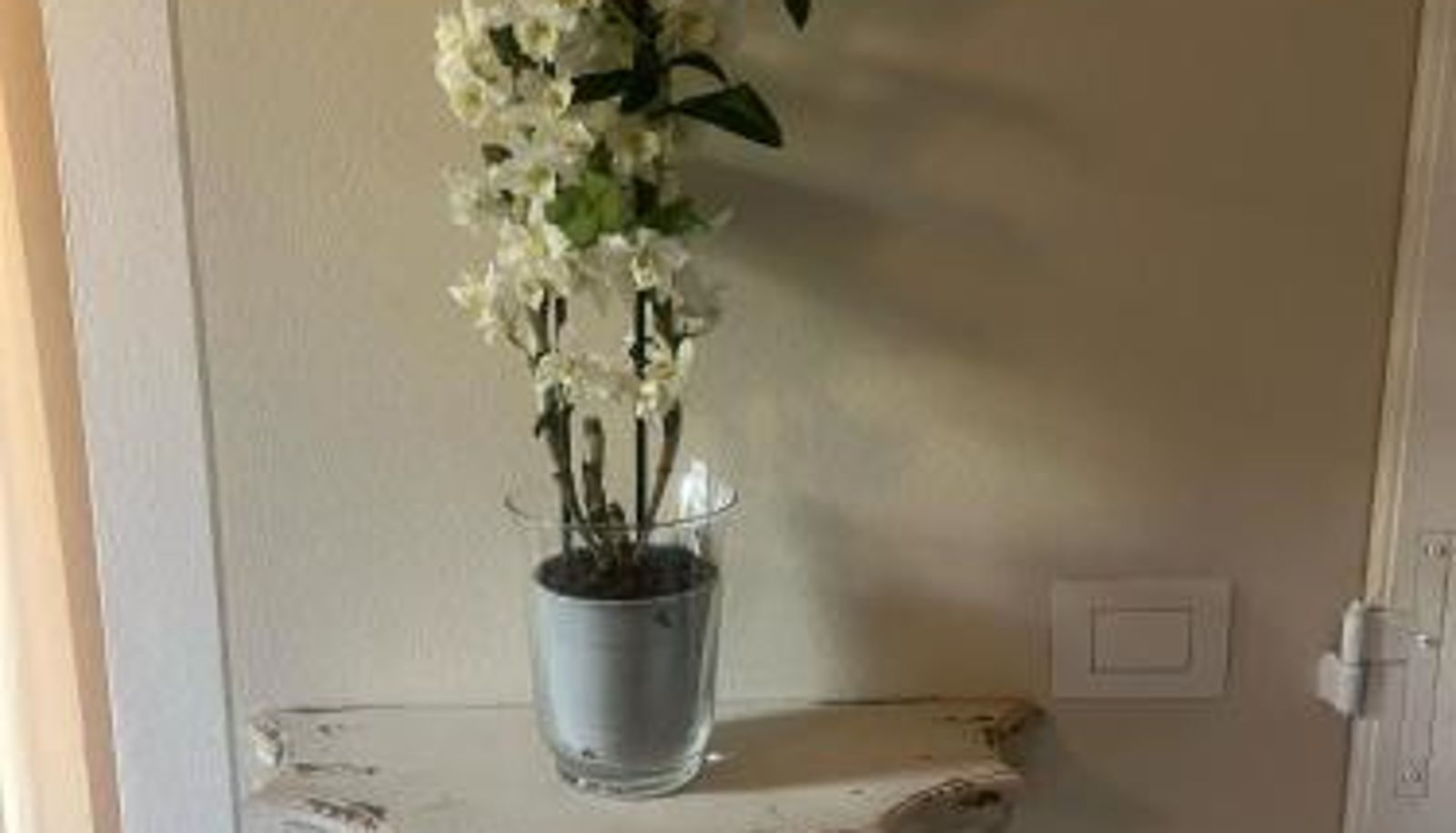 Standardzimmer - Olive Garden Loft - Settignano