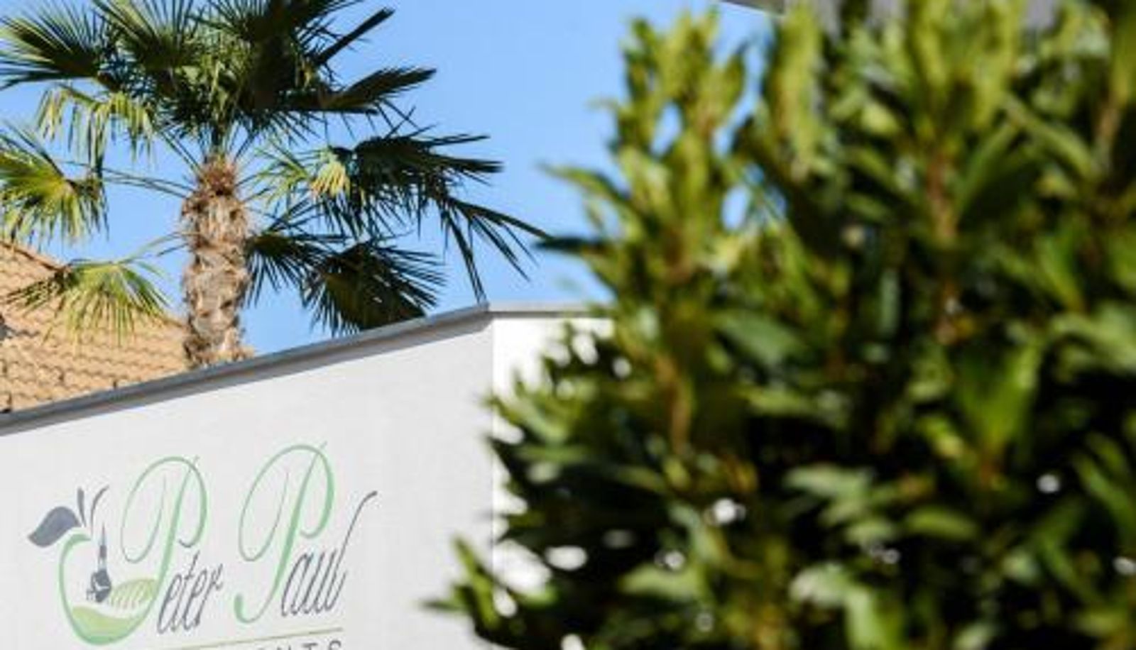 Apartment - Peter Paul Gartenapt. Palme