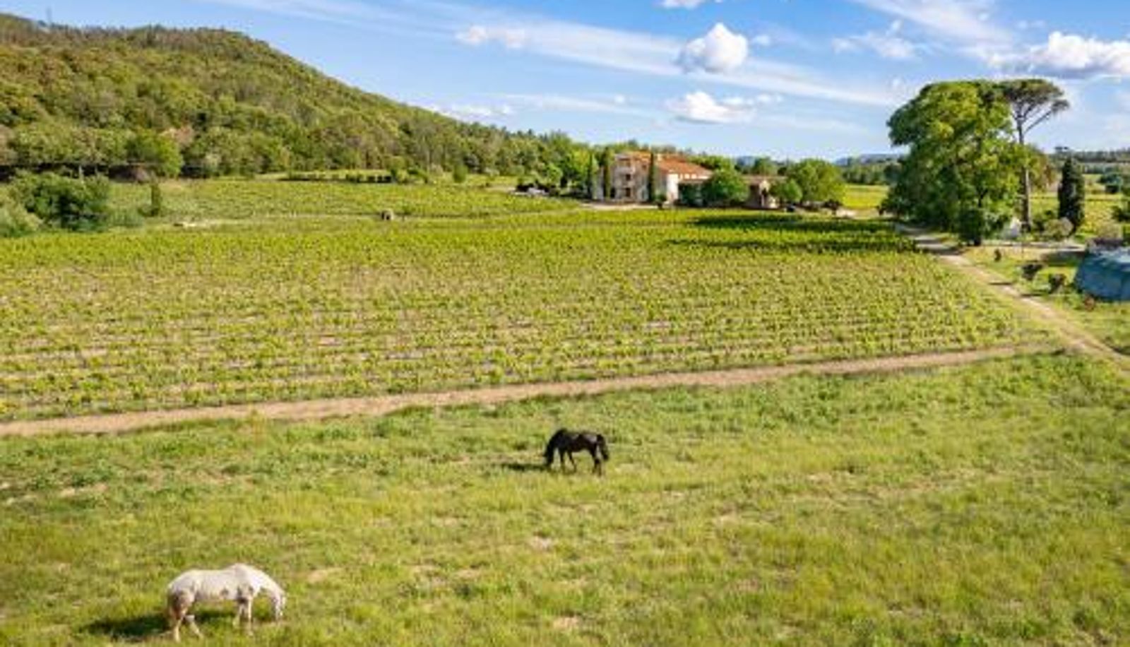 Apartment - Gîte Lavande au milieu des vignes - Chateau les Apiès