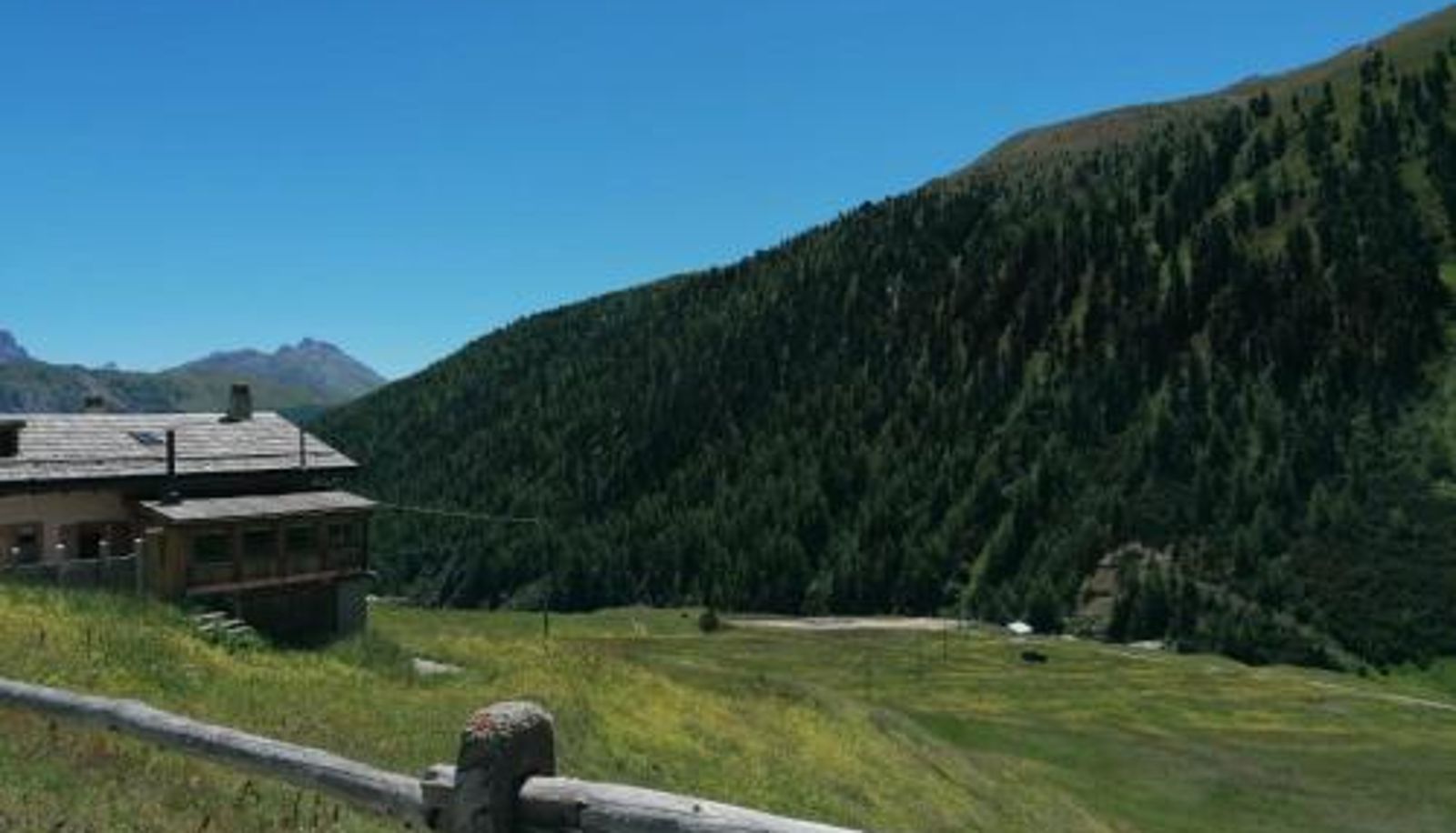 Apartment - Tea da Nardo in Val Federia