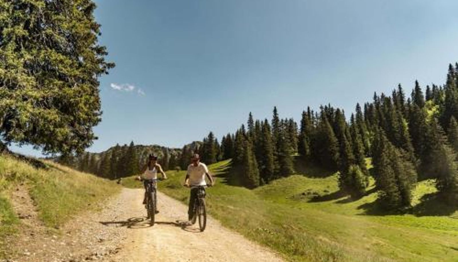 Chambre Standard - TOVASSIERE TS119 NATURE & VIEW 6 Pers