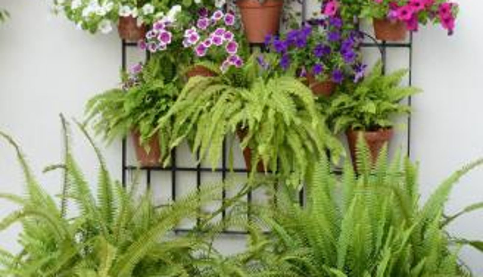 Appartamento - Apartamento Planta Baja