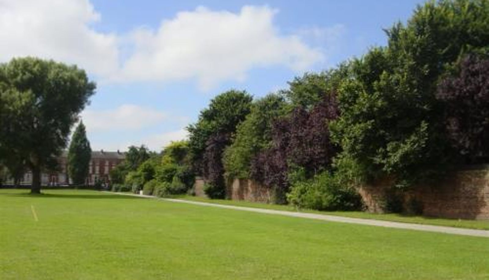 Apartment - Sidemersey Livings - Botanic Residence