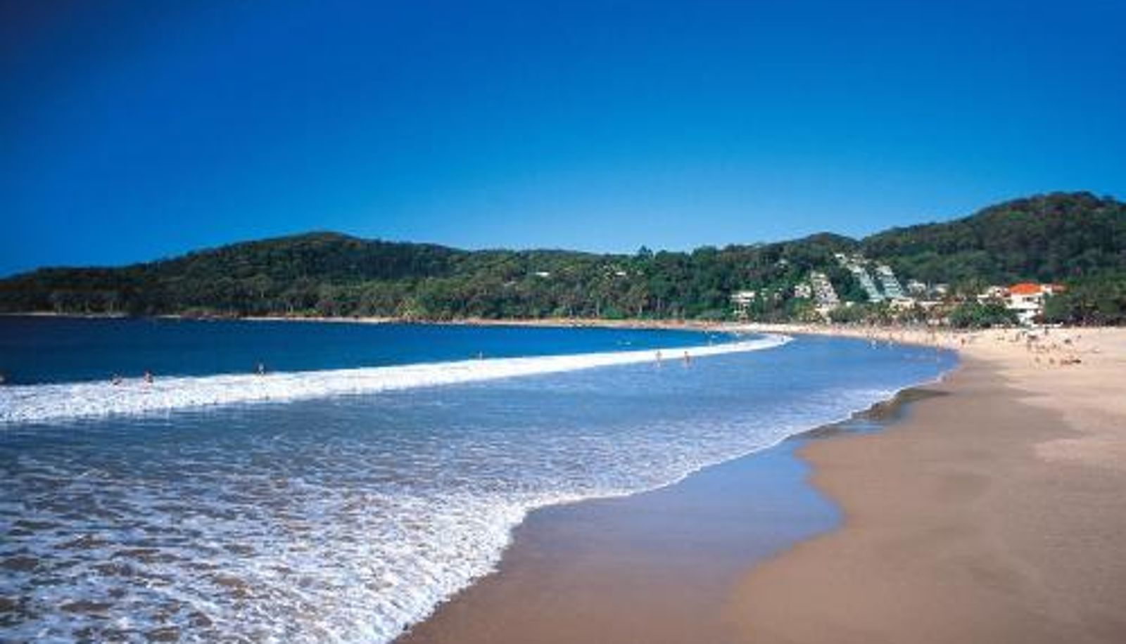 Apartment - Noosa Holiday Accommodation