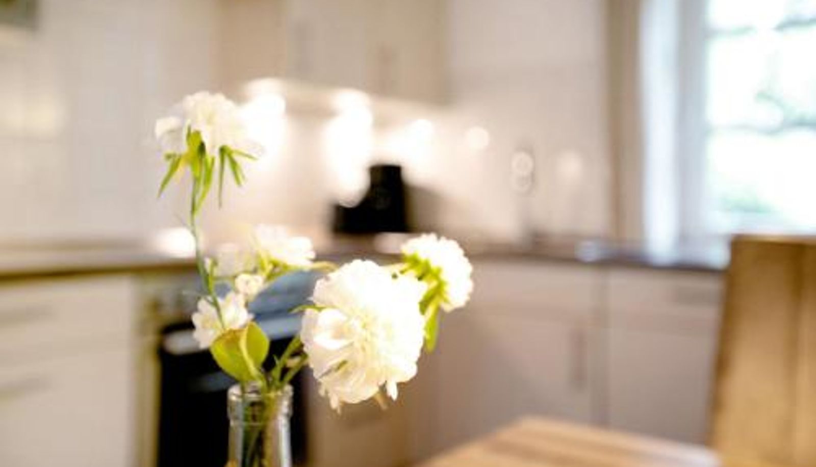 Apartment - Green Oasis Ferienwohnung