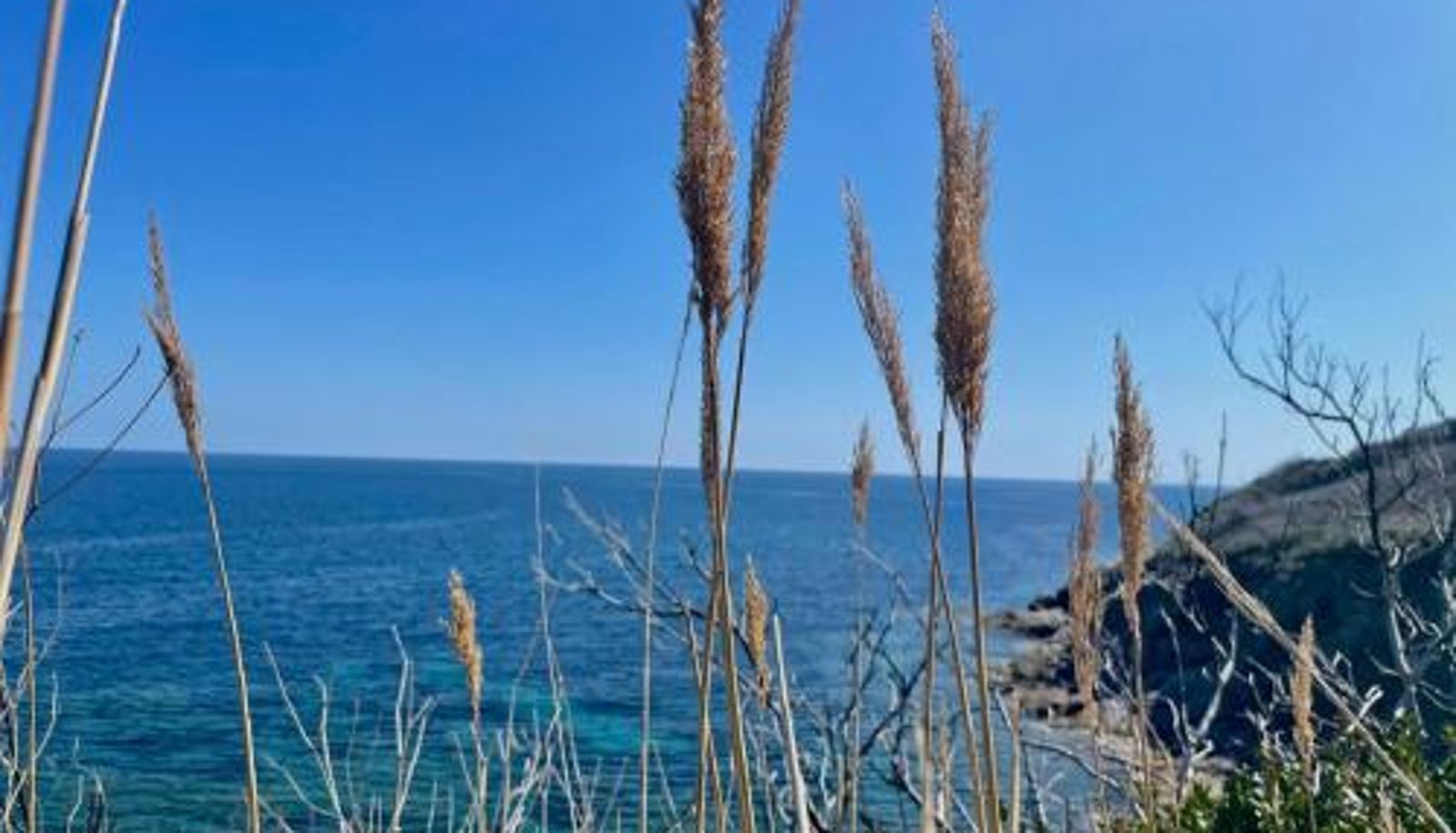 Info - Le Relais de Sisco