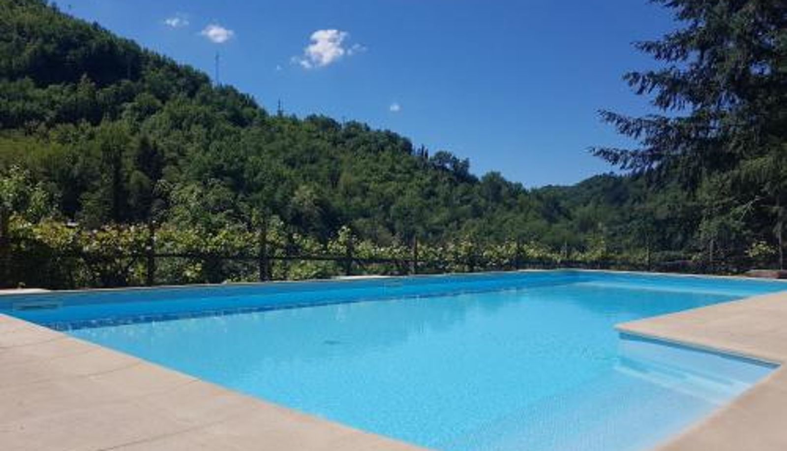 Appartement - Il Bosco di Campo Marzano Garden Apartments