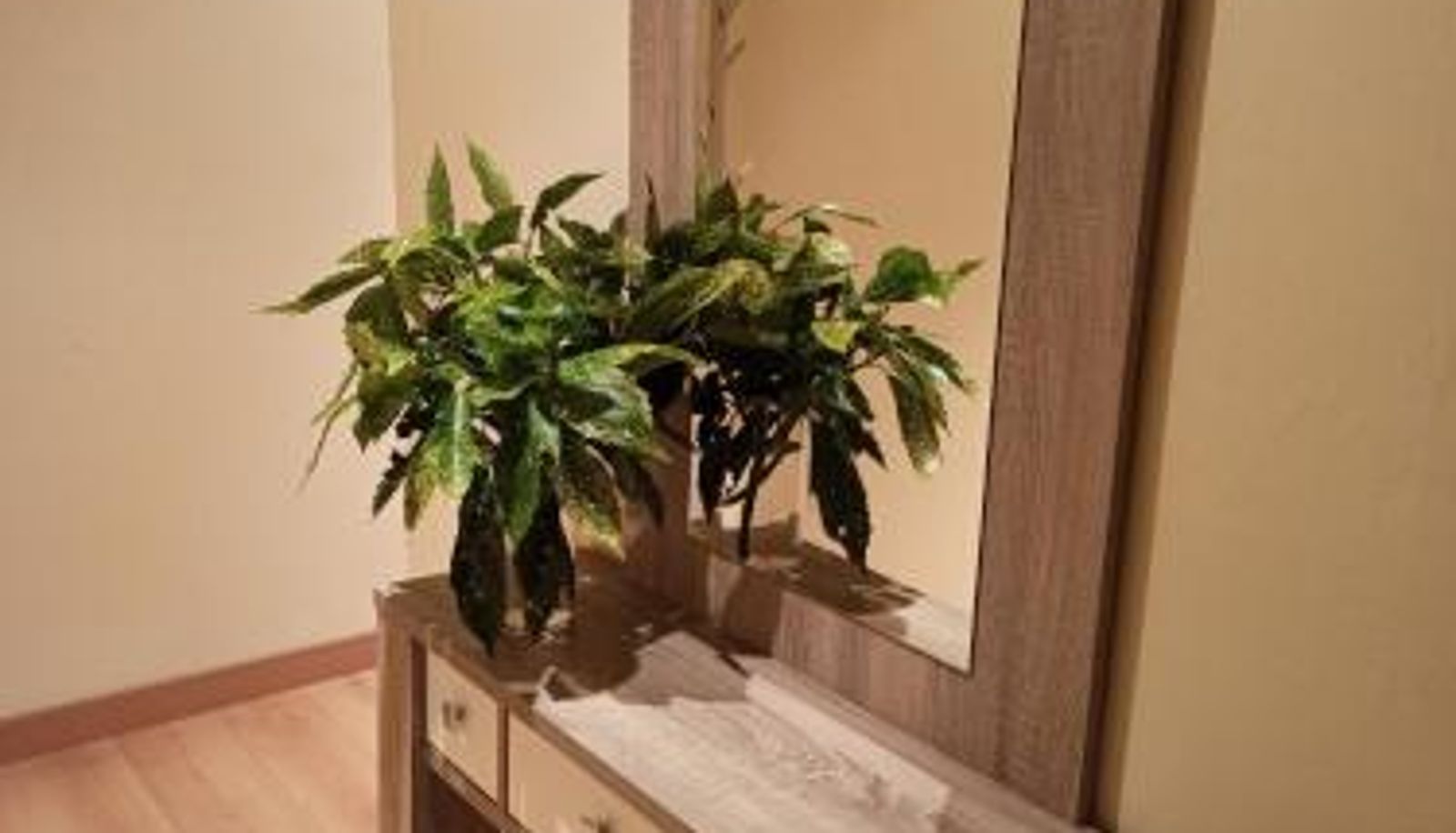 Appartamento - apartamento centro de Llanes a 400 m de la playa VUT-2345-AS Raitán