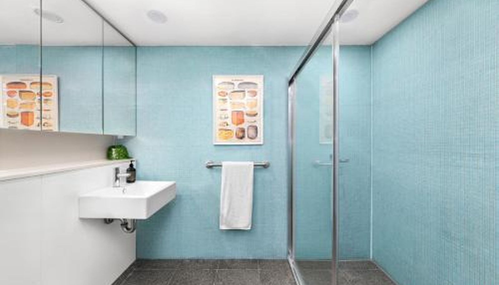Información - Groundfloor Surry Hills Retreat with Cinema