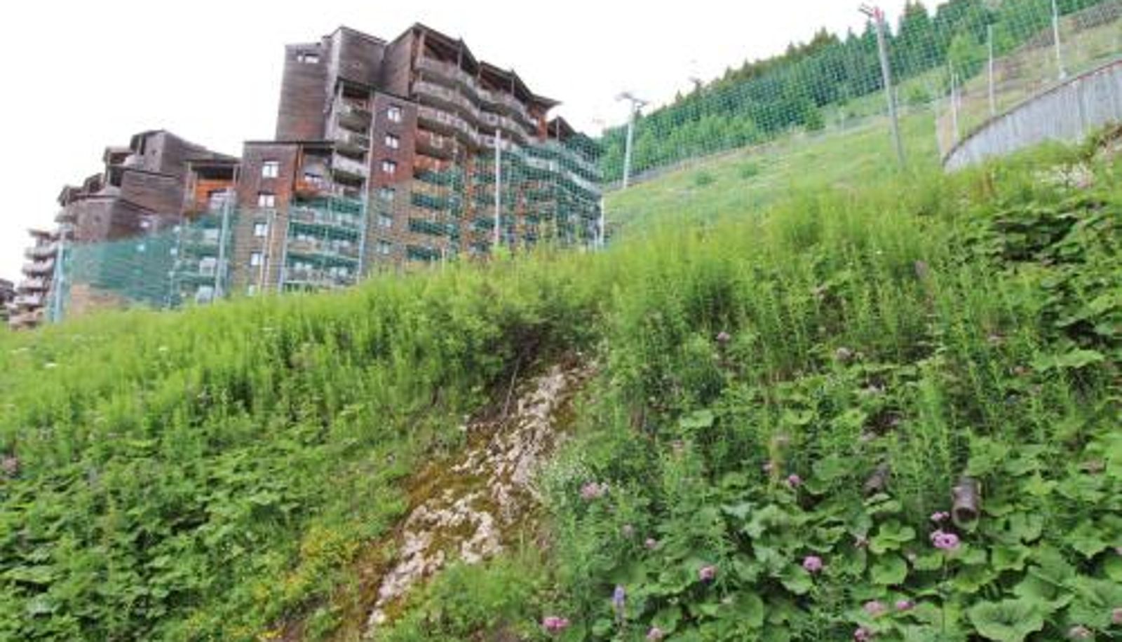 Información - Appartement cosy pour 4 avec Wi-Fi à Avoriaz - FR-1-633-61
