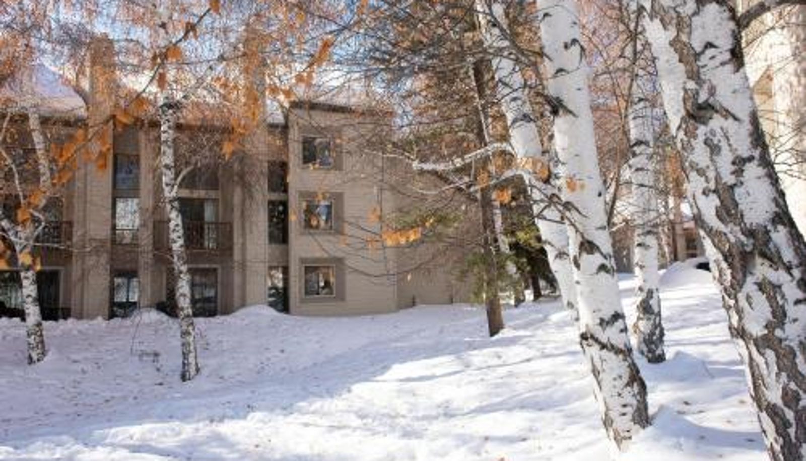 Chambre Standard - Indian Springs Condo 2415