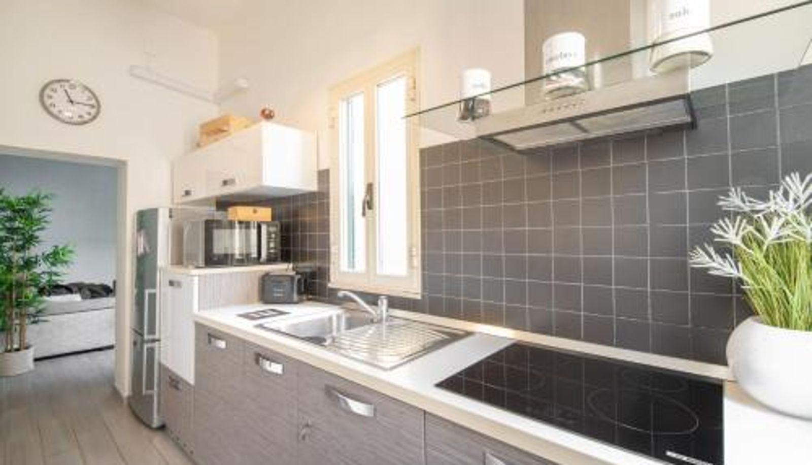Apartment - Piombino Apartments - Casa Milano