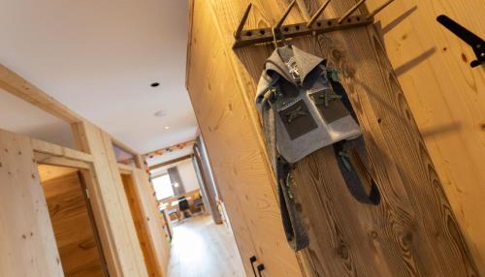 Appartement - Bergsteiger Apartment - Patleidhof