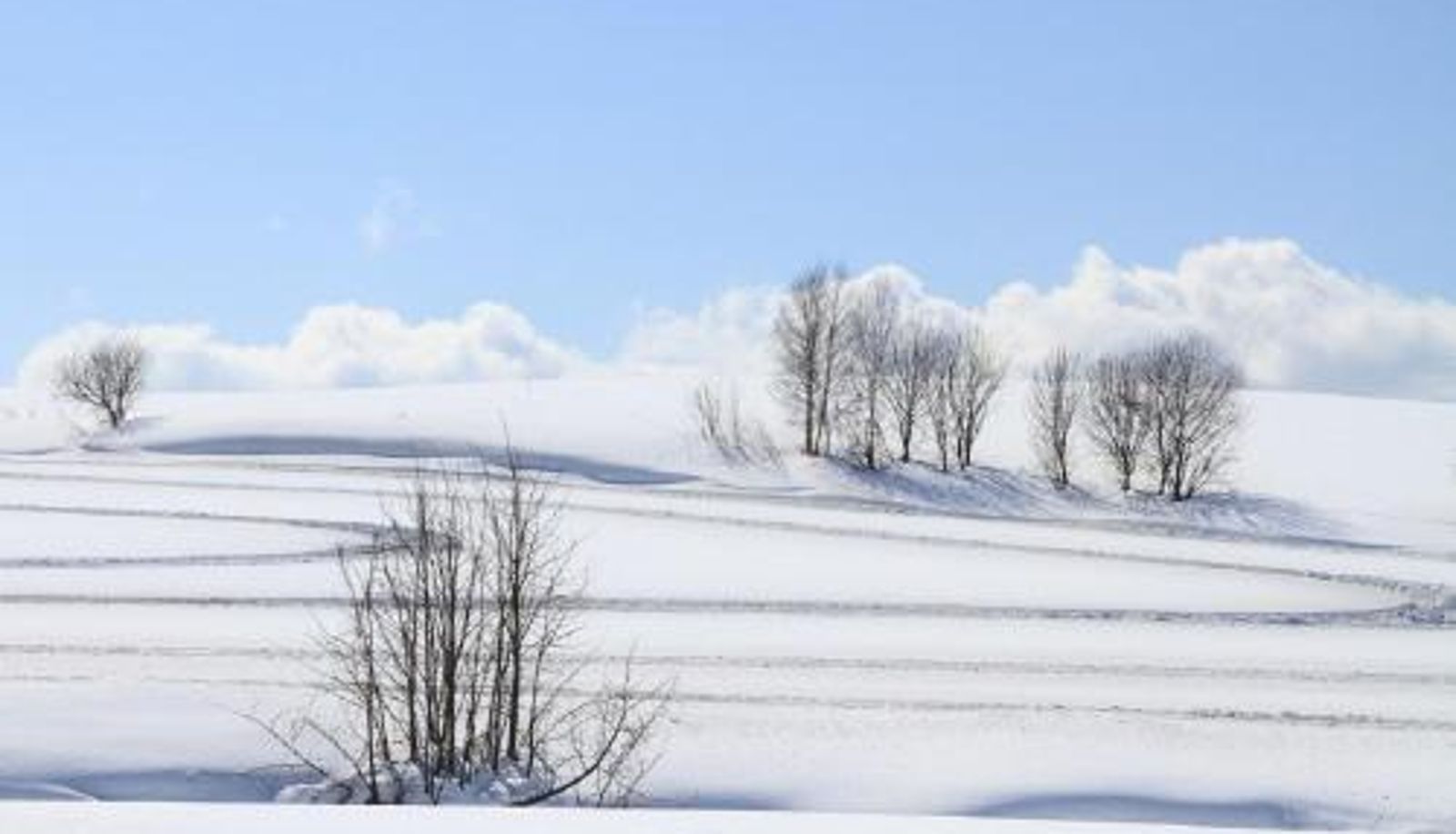 Appartamento - Stay In Biei