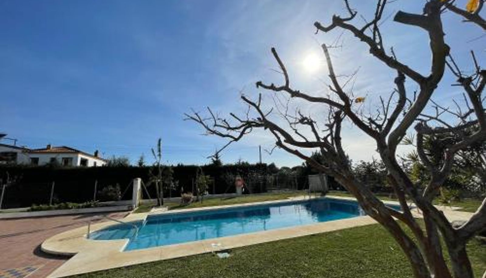 Standard room - Finca La Tacita - Petunia
