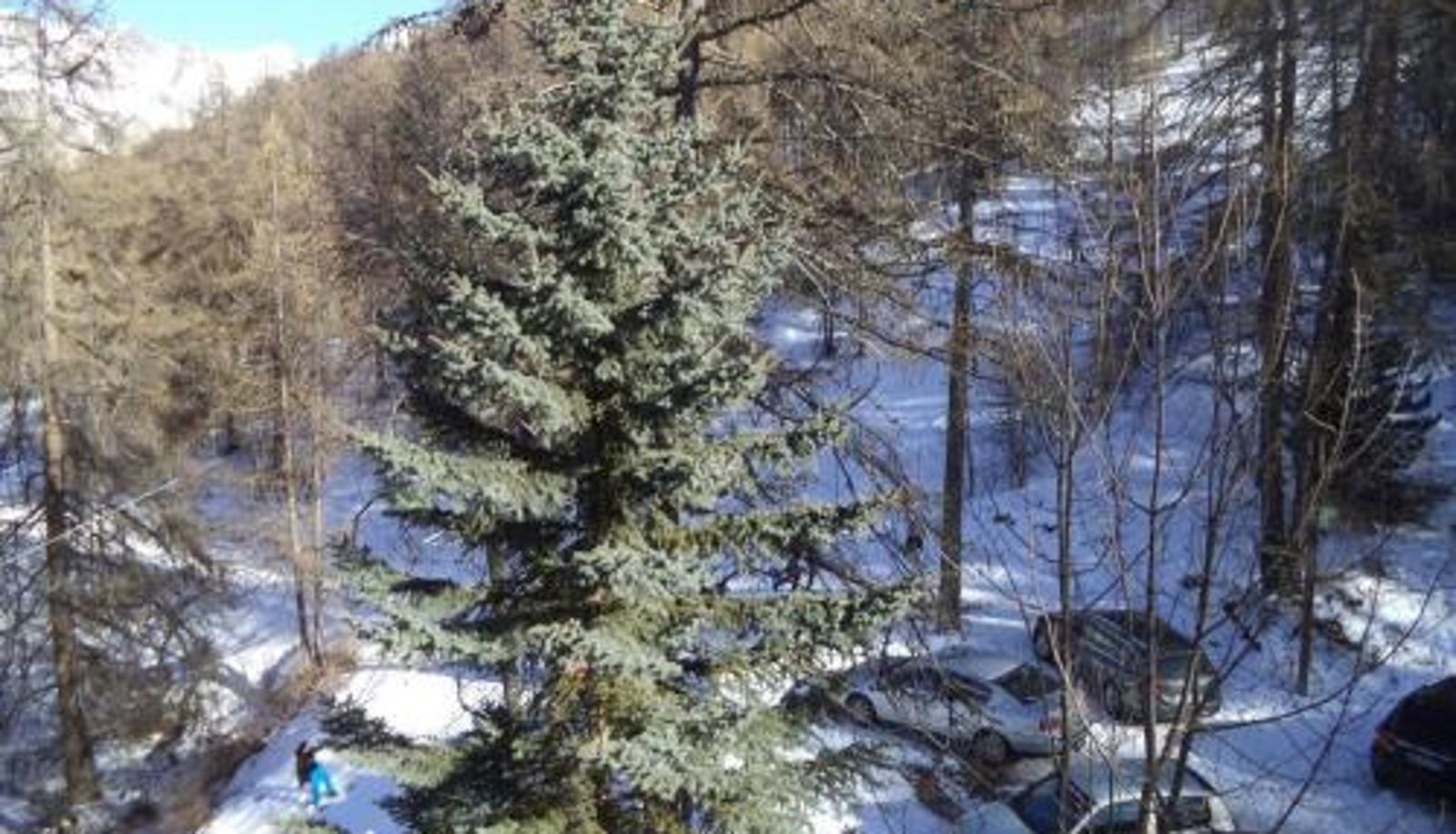 Camera standard - proche pistes - FR-1-322-576  centre Les Orres 1650 Studio 4 pers