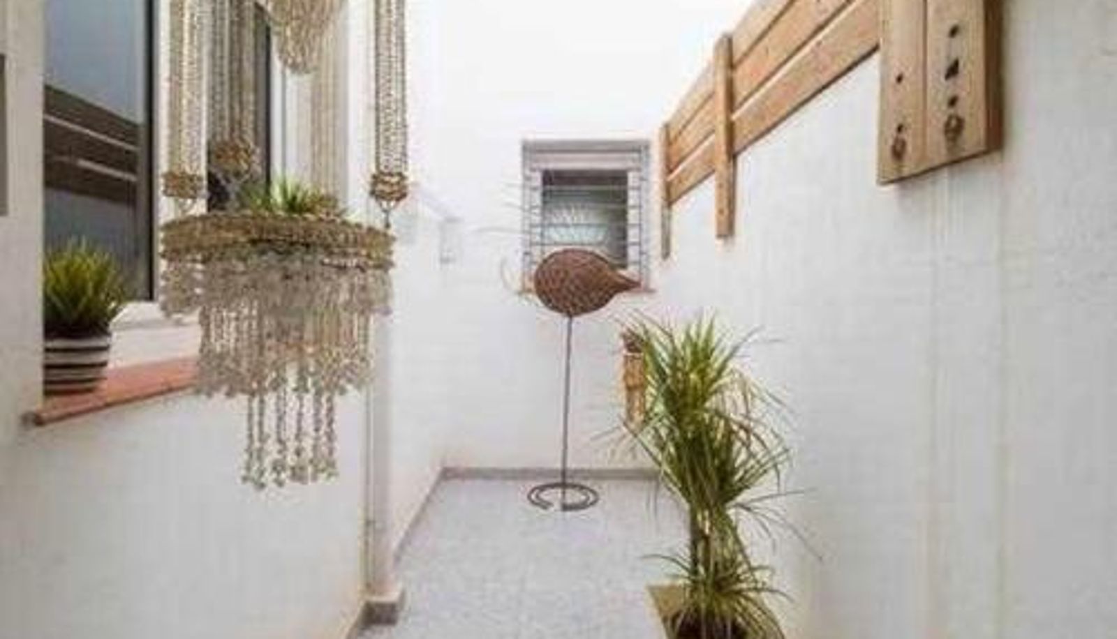 Standard room - ALBATROS 1L Tres habitaciones