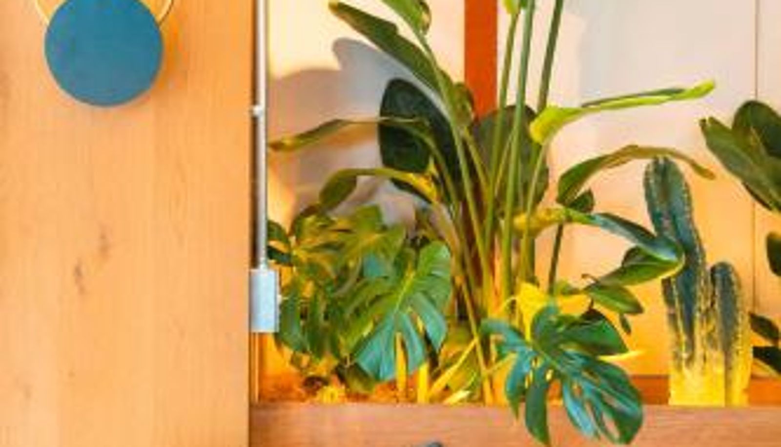 Apartament - illi Esu Nakano