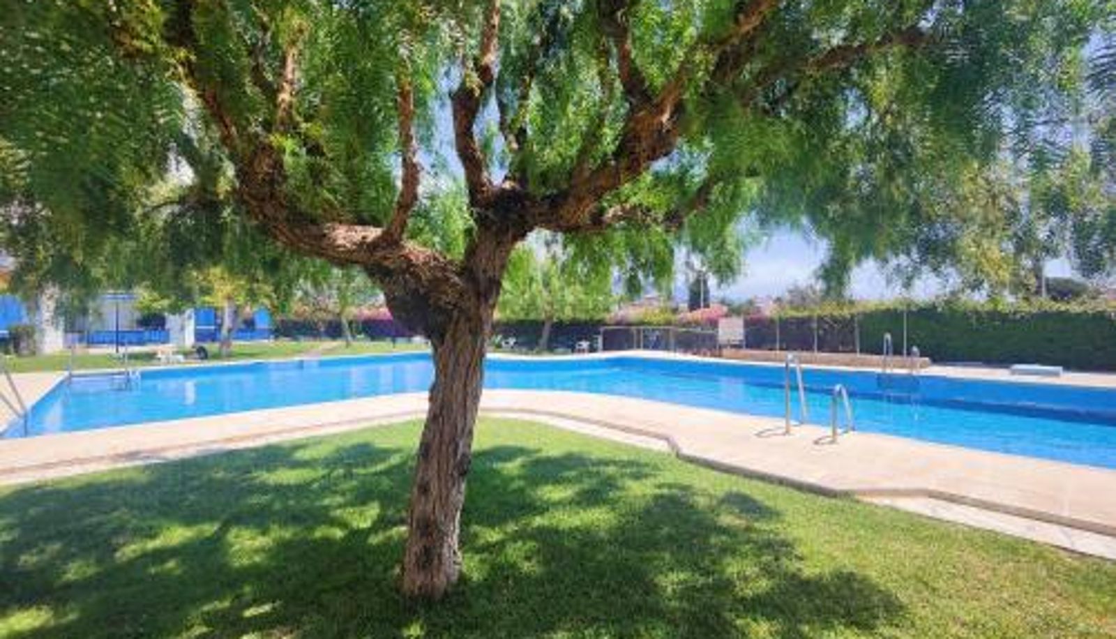 Apartment - AP401 - Apartmento Almijara