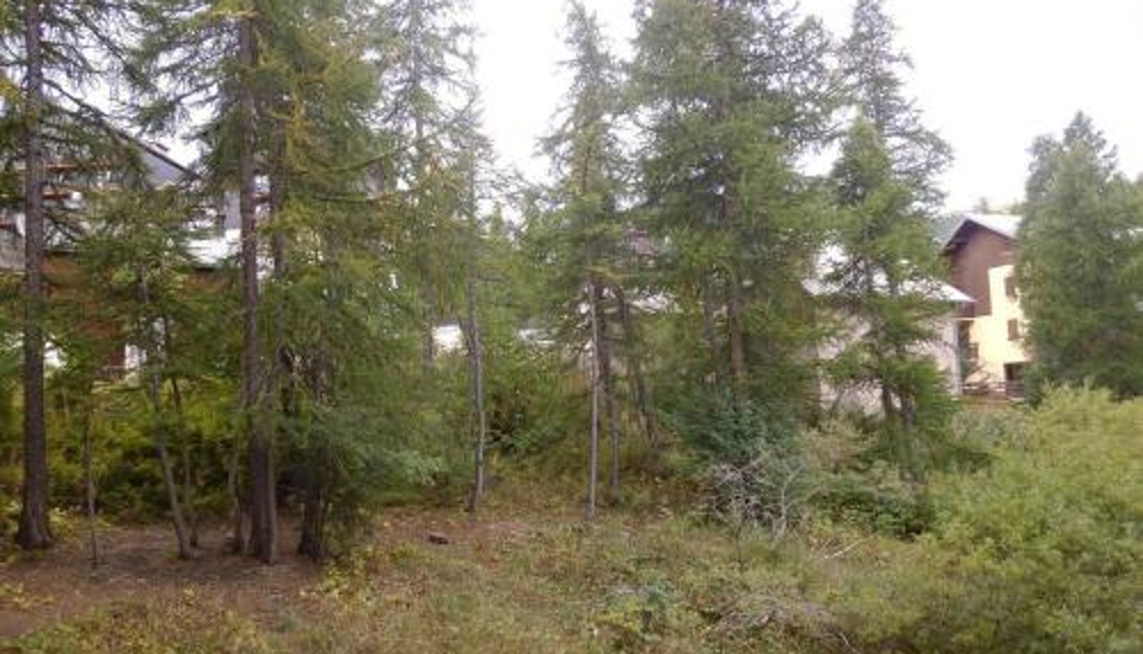 Info - Risoul 1850 - FR-1-330-92  parking  4 pers Studio coin montagne calme