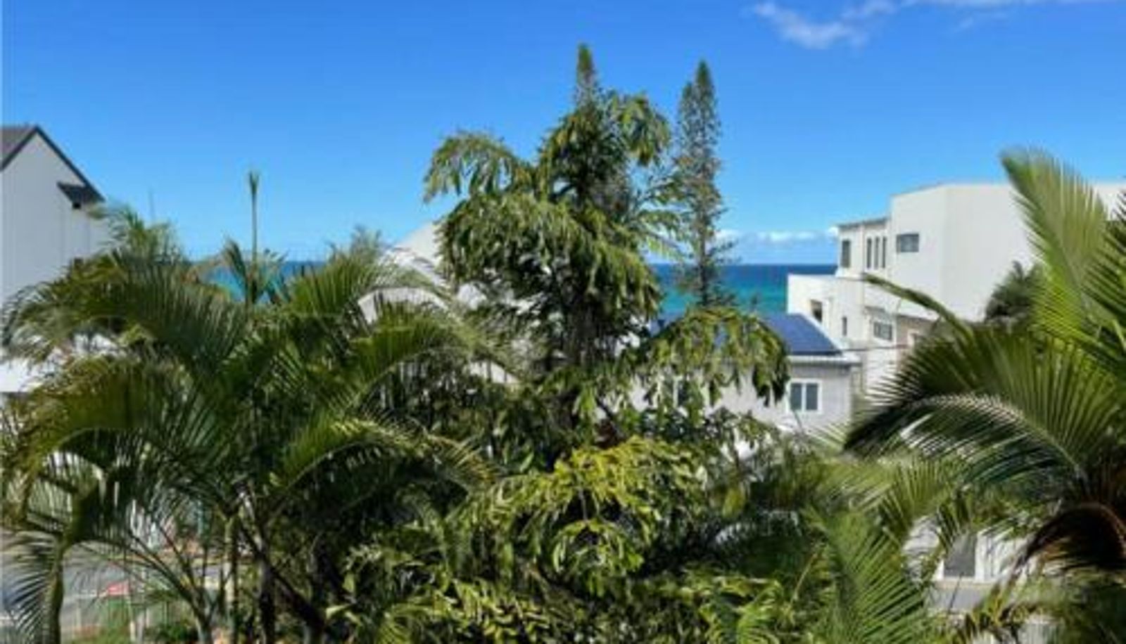 Info - Jefferson Palms - Burleigh Letting