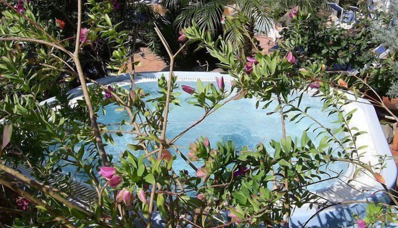 Pool - Hotel Royal Terme