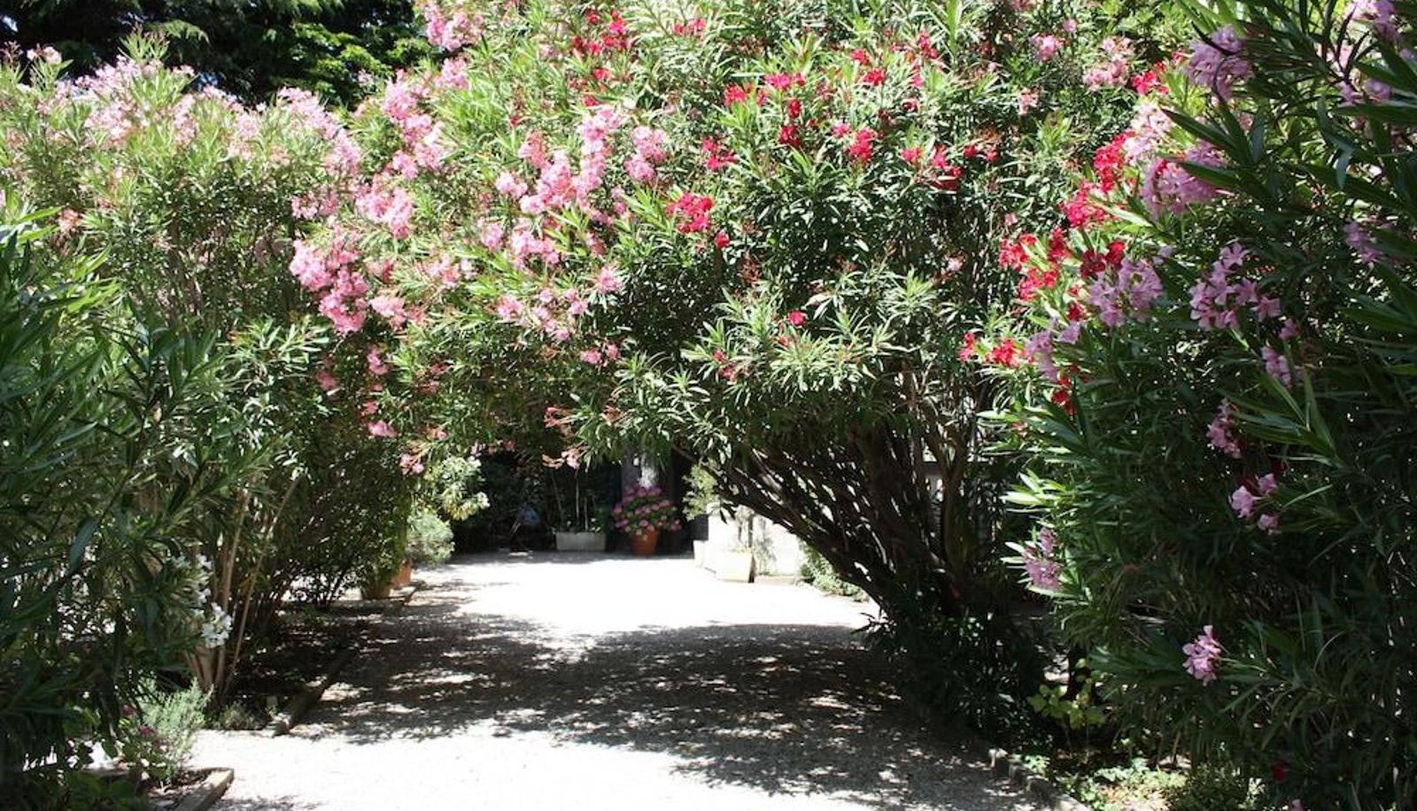 Otoczenie - Hostellerie Le Chalet Fleuri