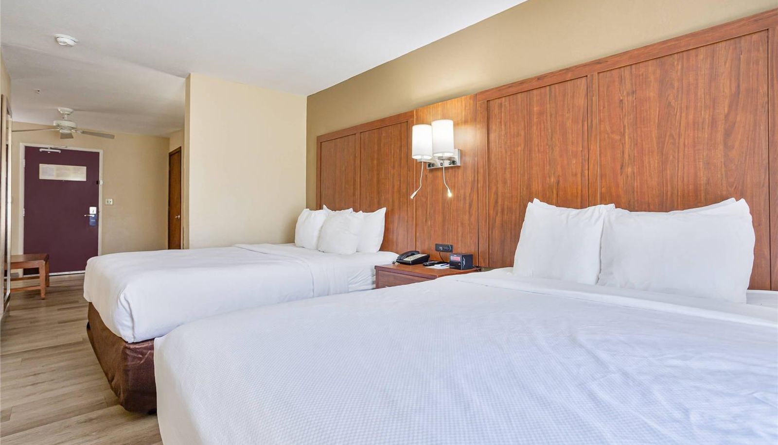 Zimmer - Comfort Inn & Suites Montgomery East Carmichael Rd