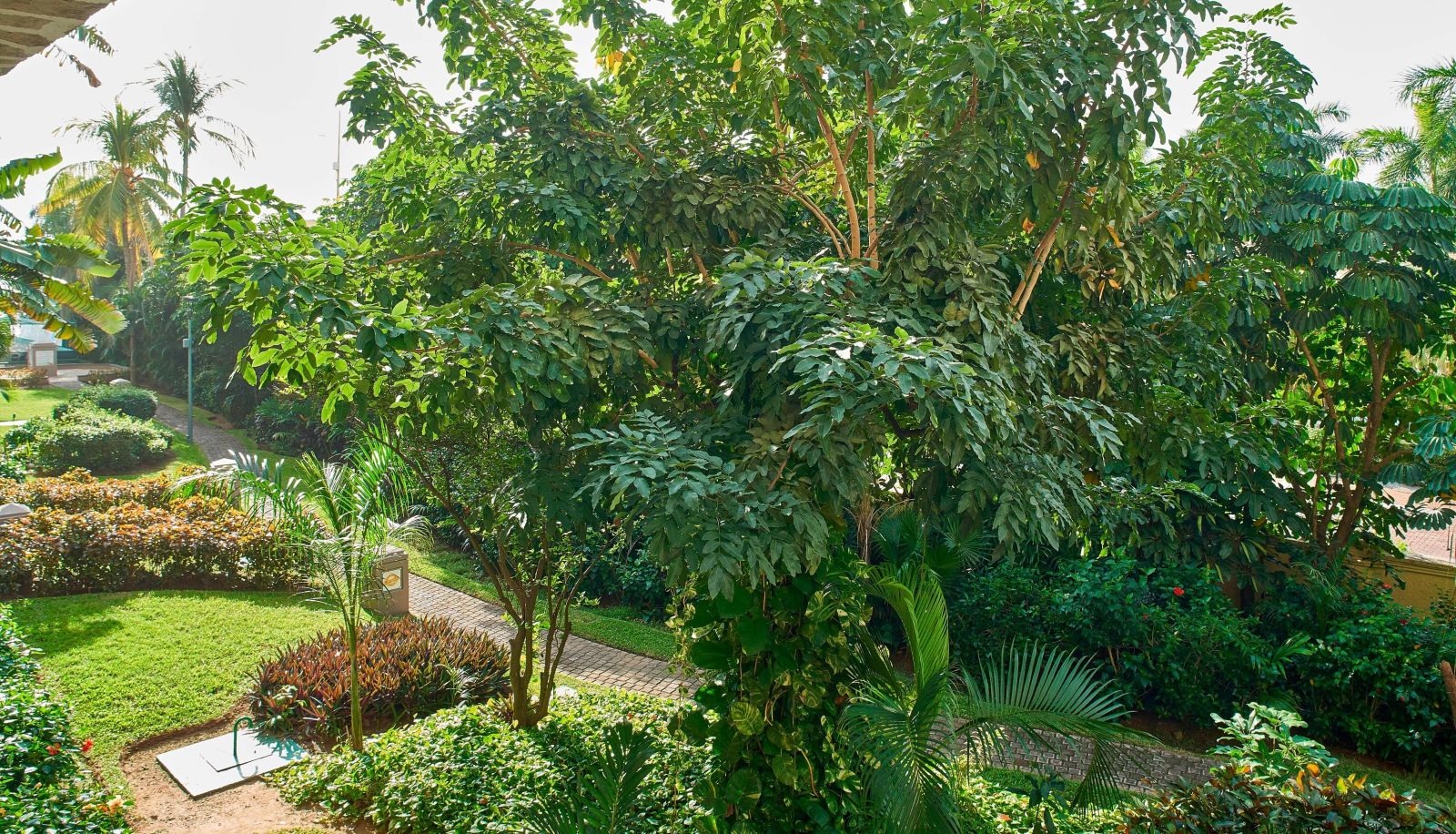 Zimmer - Marriott Puerto Vallarta Resort and Spa