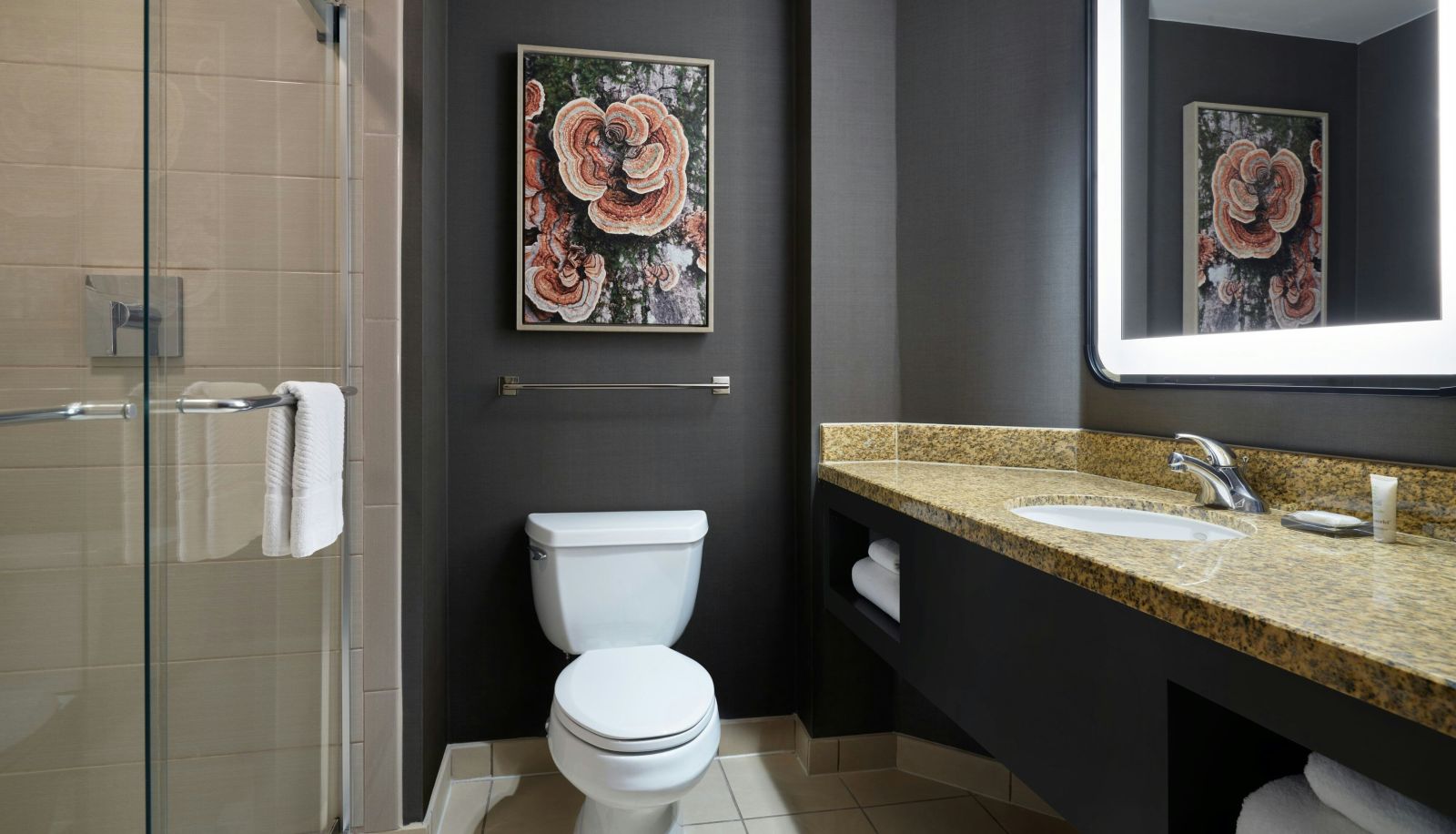 Zimmer - Denver Marriott South at Park Meadows