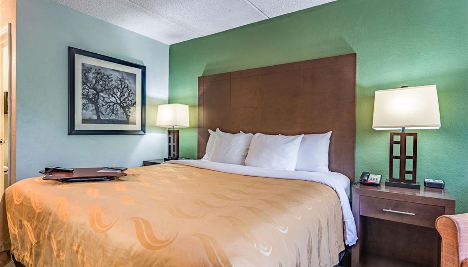 Room - Quality Inn Columbus near Fort Benning