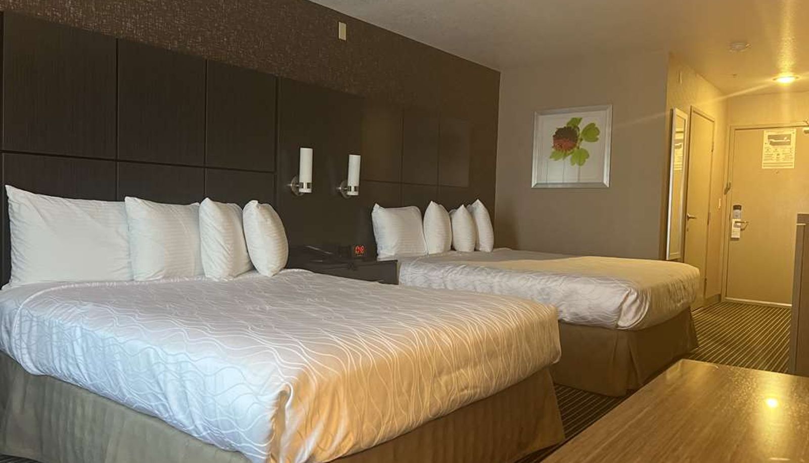Vierbettzimmer - Best Western Plus Rama Inn & Suites