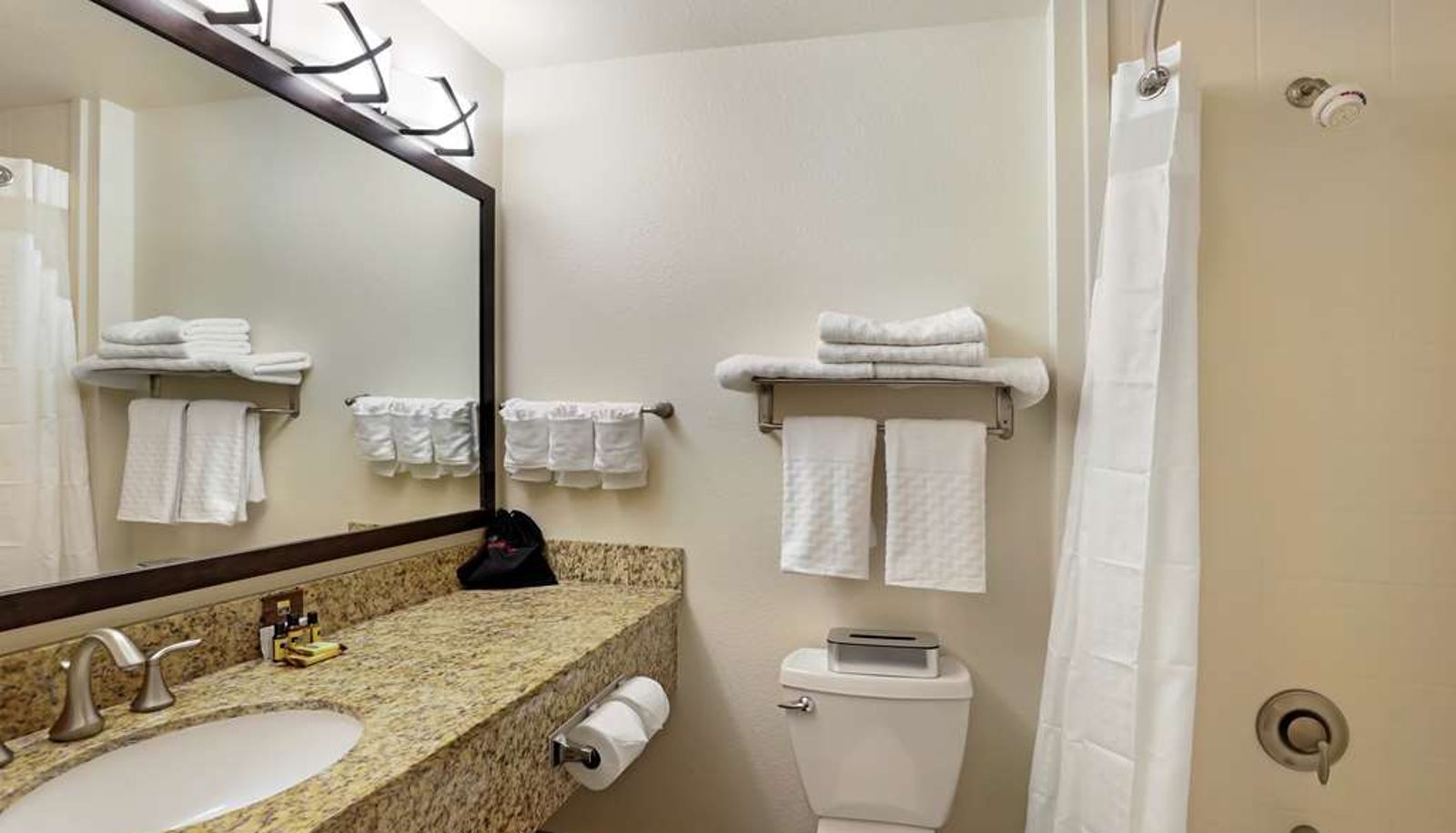 Zimmer - Best Western Plus Castle Rock