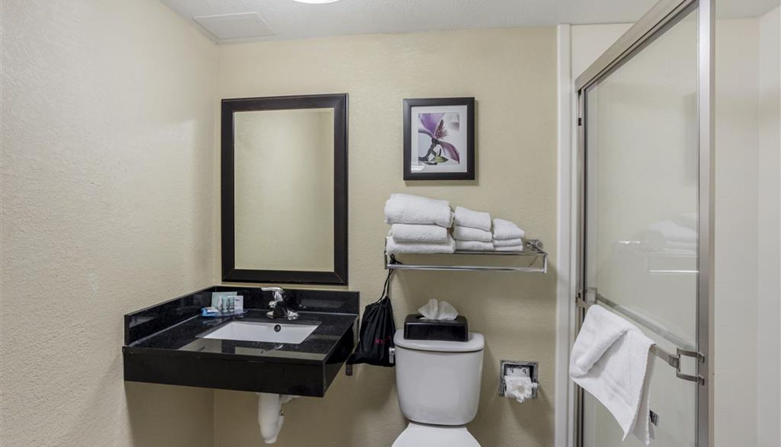 Room - Best Western Harrisburg North