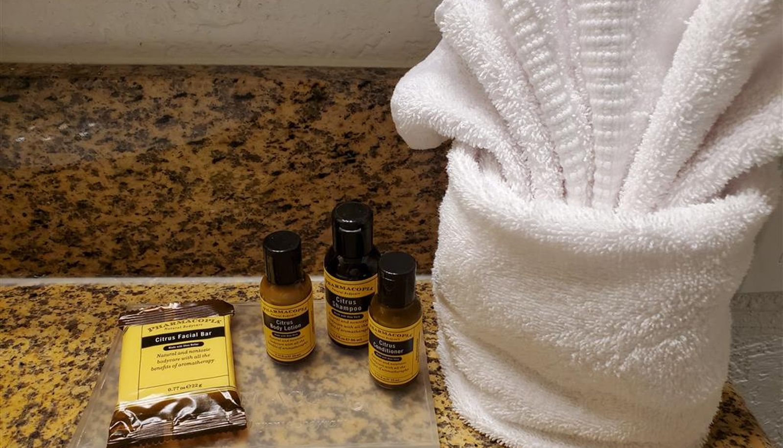 Zimmer - Best Western Plus Milwaukee Airport Hotel & Conference Center
