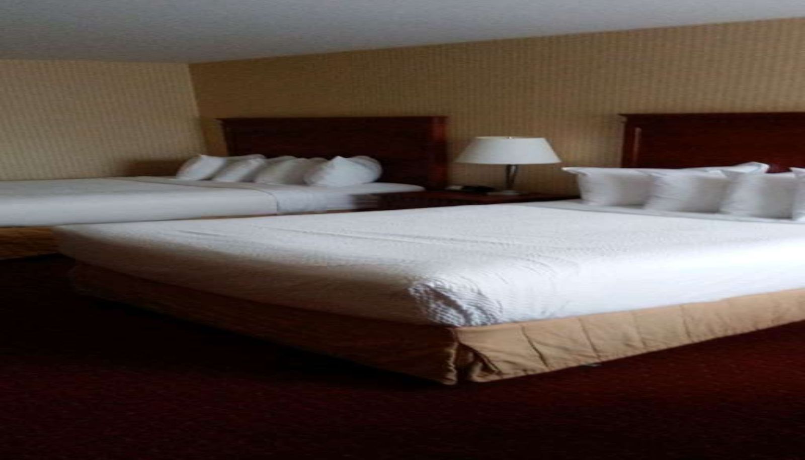 Zimmer - Best Western Plus Otonabee Inn