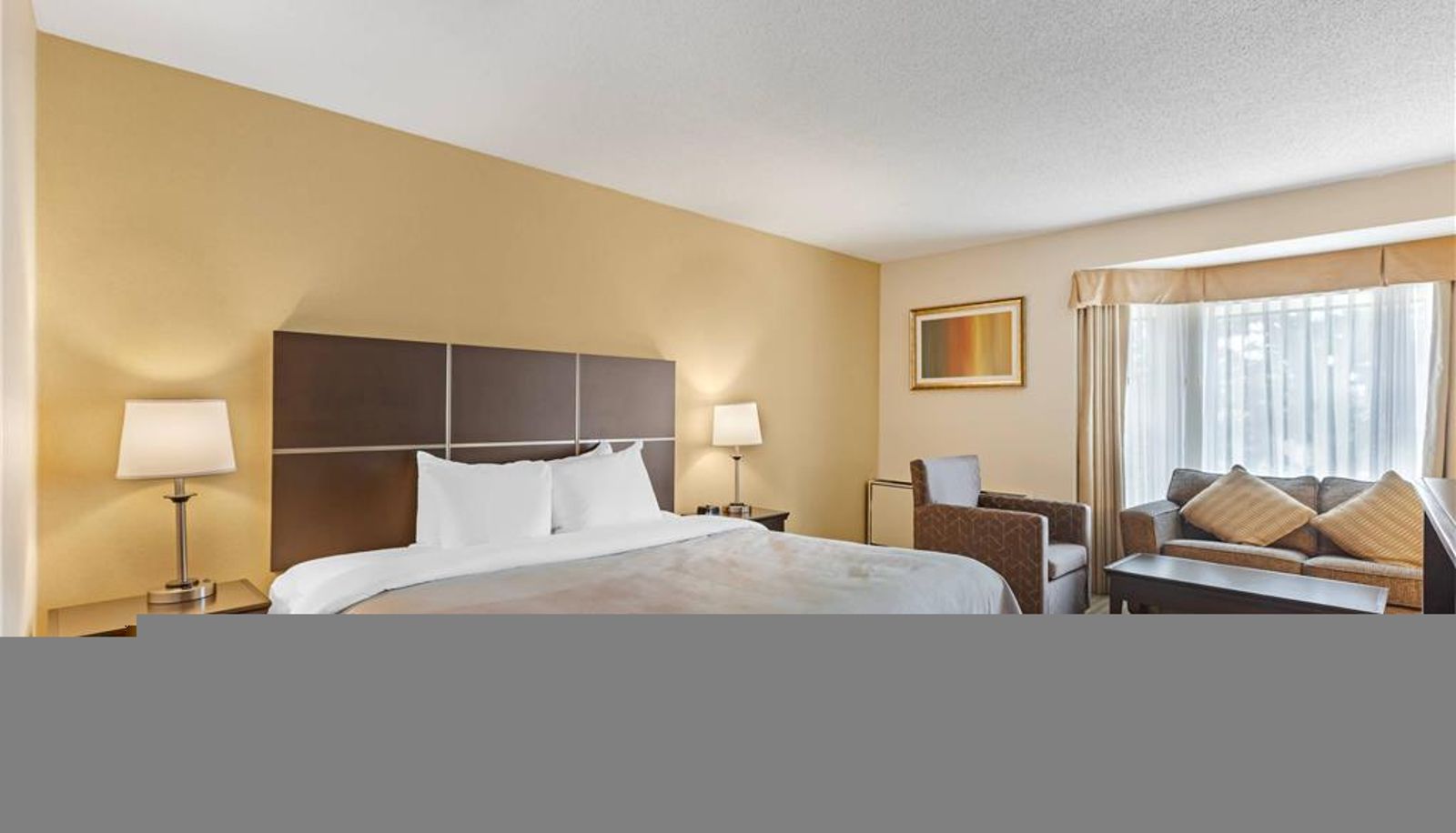 Zimmer - Quality Inn & Suites