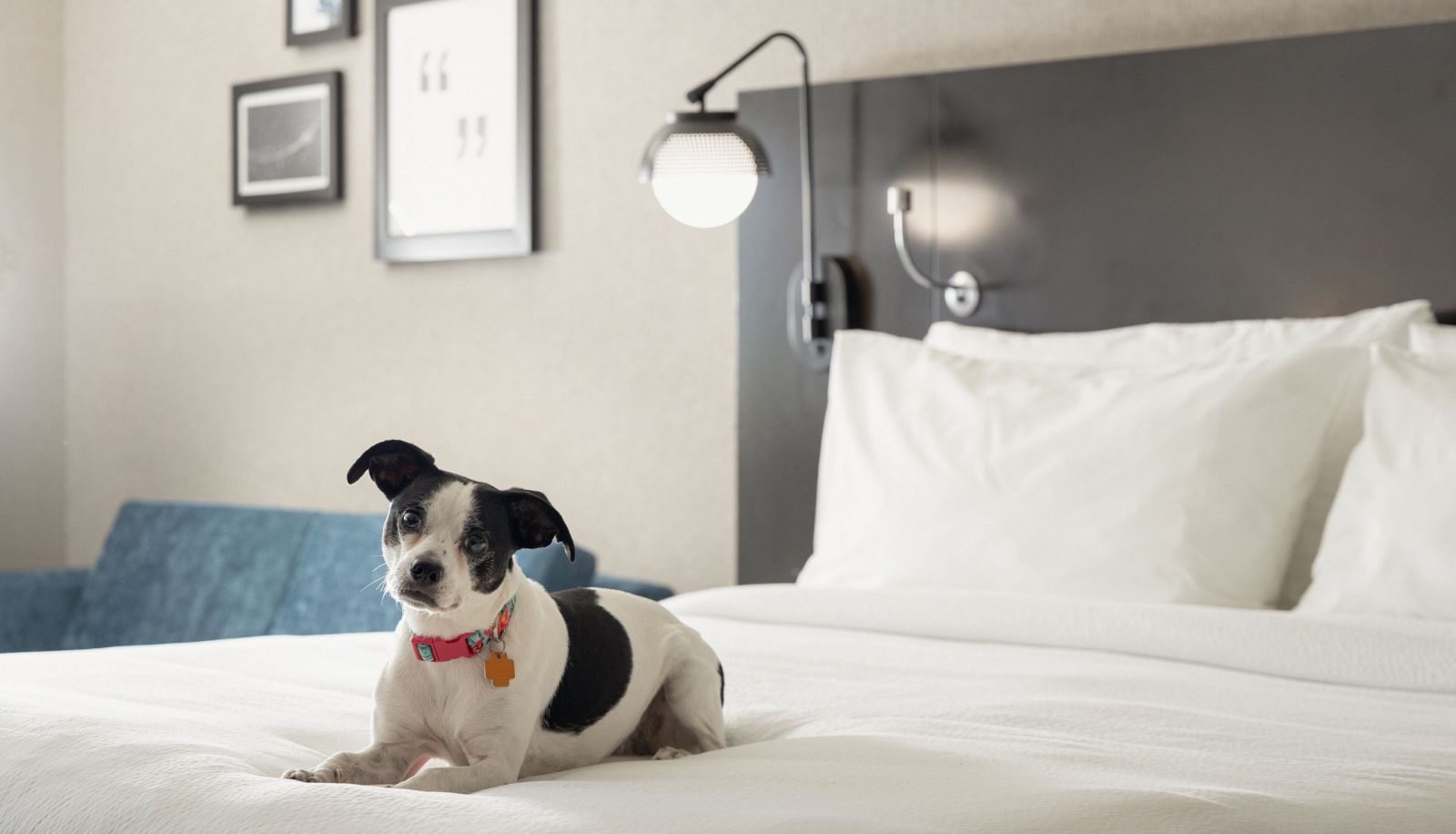 Zimmer - Four Points by Sheraton Milwaukee North Shore