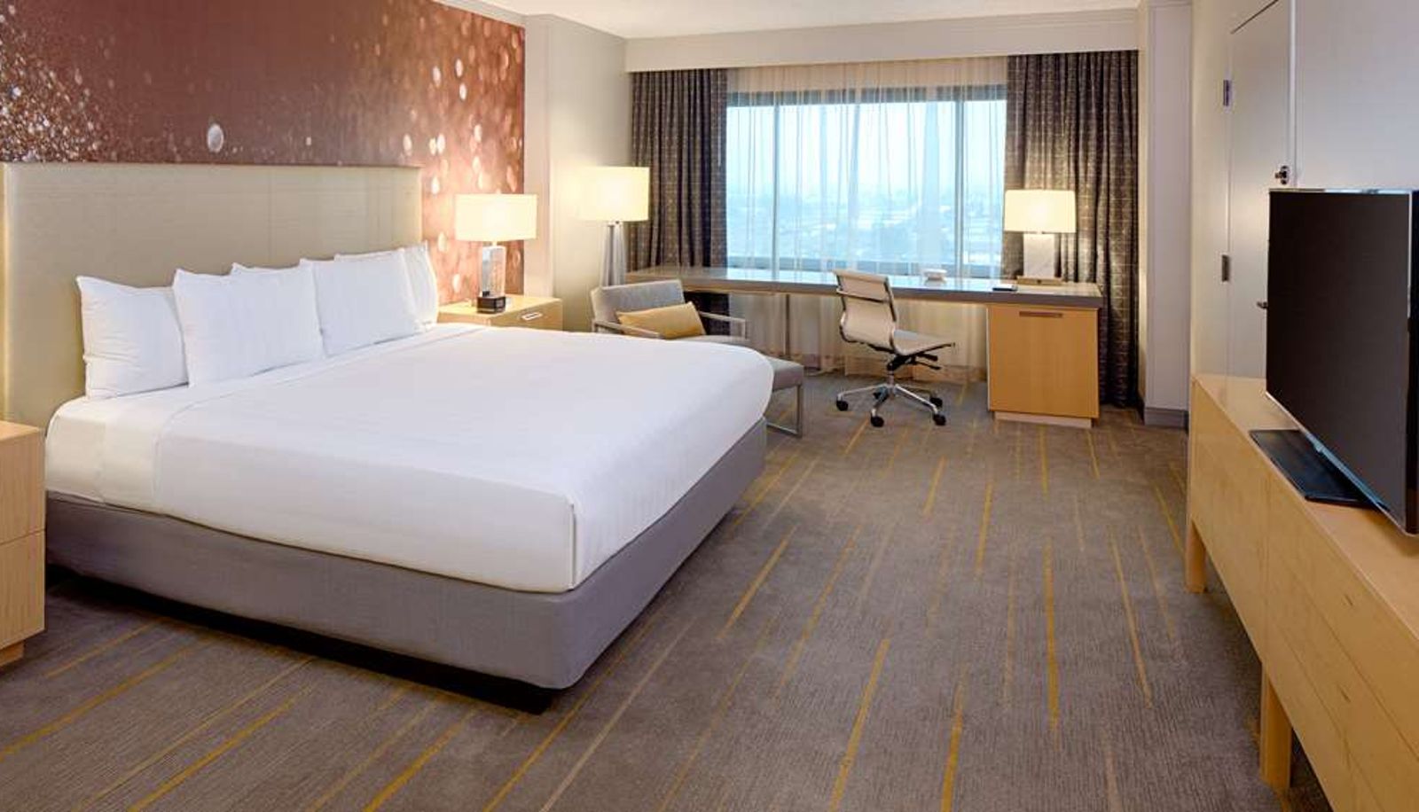 Camera - Hyatt Regency Santa Clara