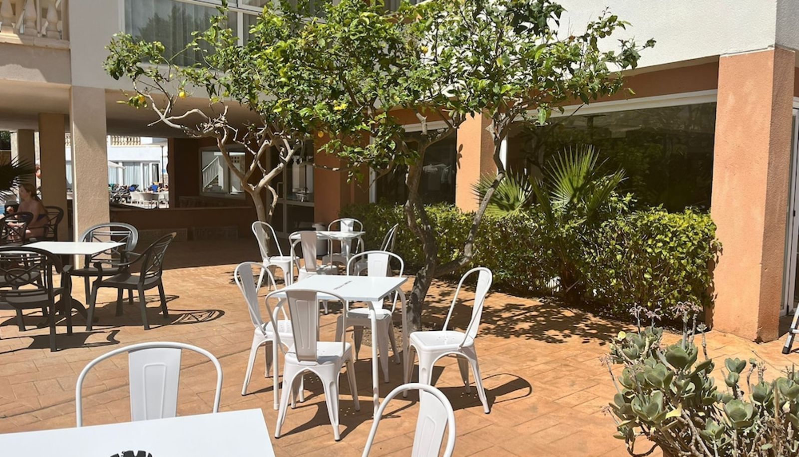 Bar - solo Adultos Canyamel Classic & Spa
