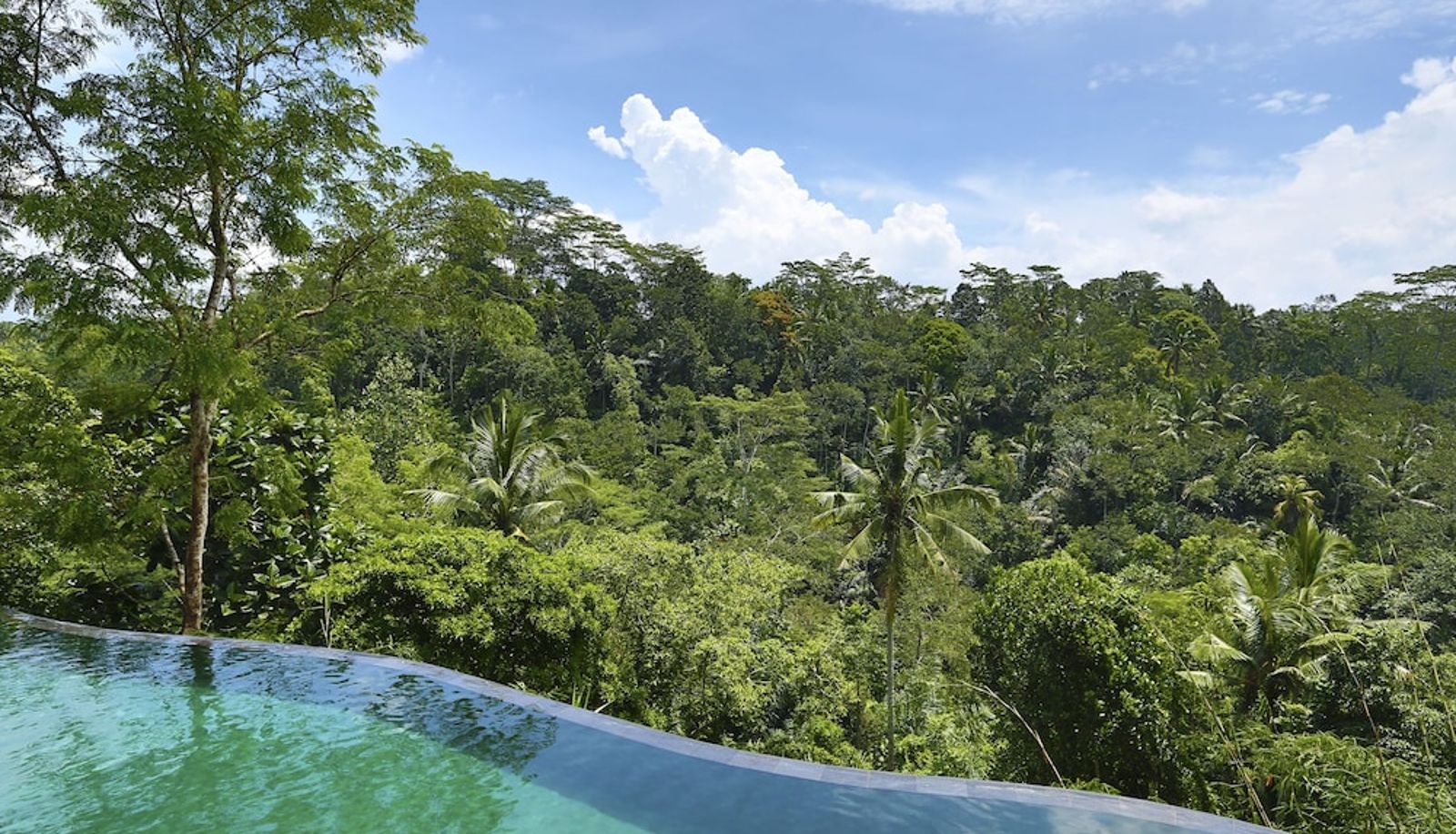 Piscine - Komaneka at Tanggayuda