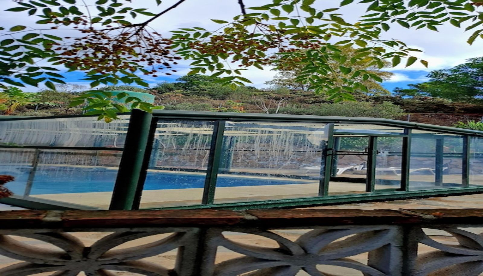 Pool - Hotel Los Jarales
