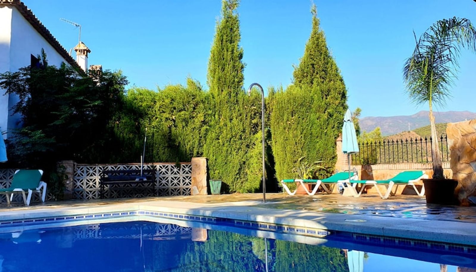 Pool - Hotel Los Jarales