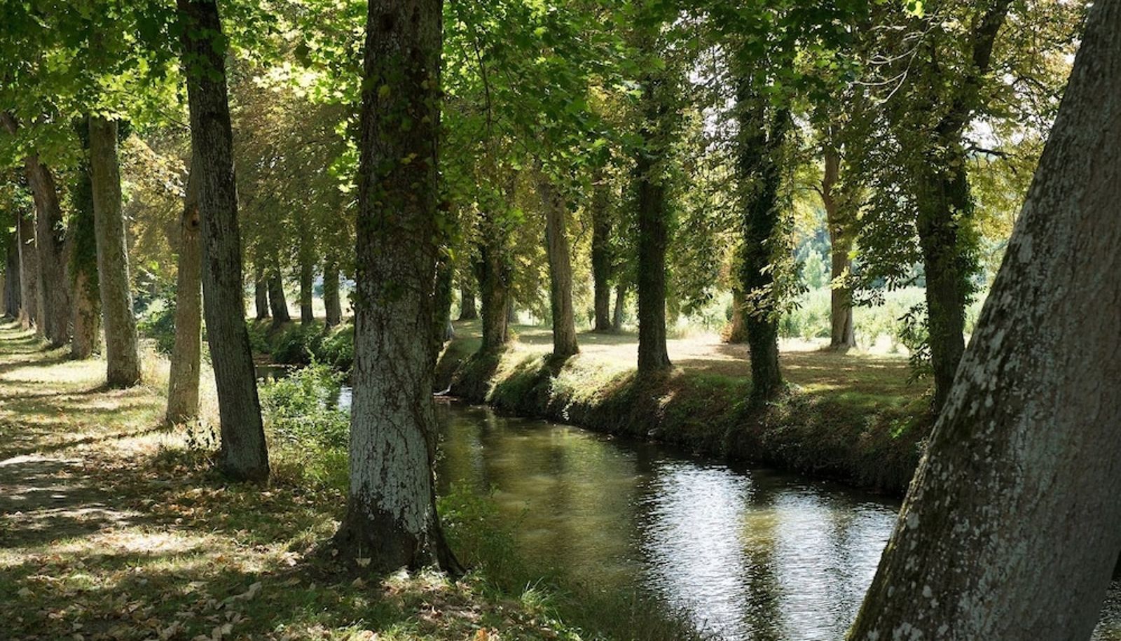 Garden - Château de Saint Loup